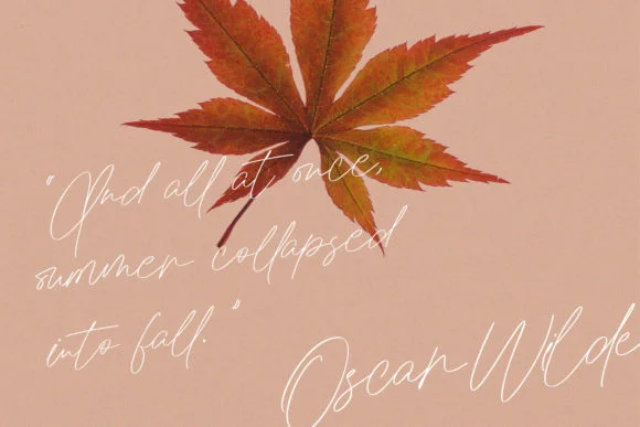 Jules Otonomi Font by Maulana Creative — Script Handwritten Font — thumbnail 2