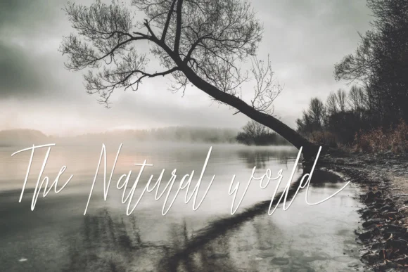 Jummiten Font by JoeeCreative — Script Handwritten Font — thumbnail 4