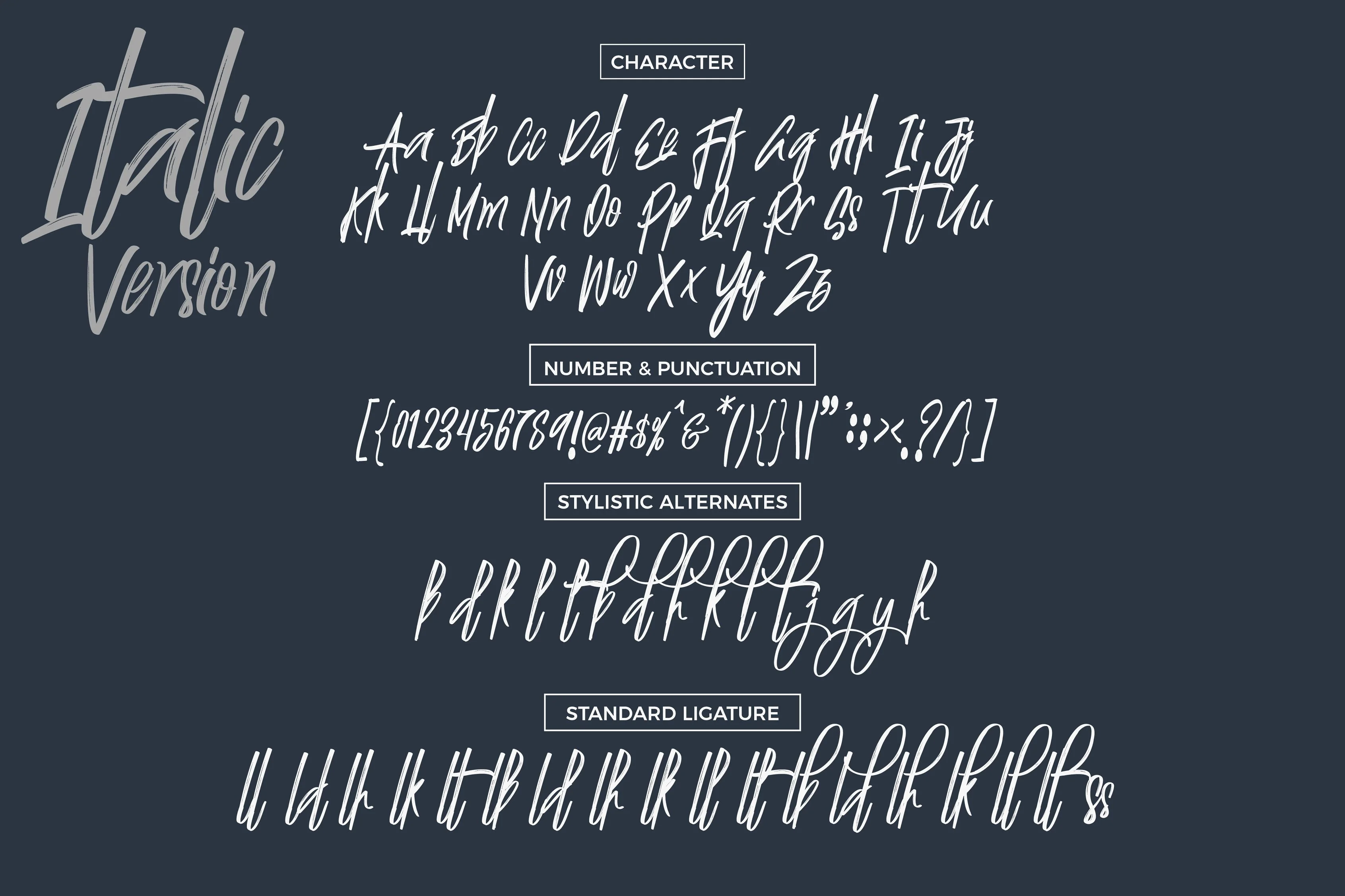 Justin Brush Font by Debut Studio — Script Handwritten Font — thumbnail 7