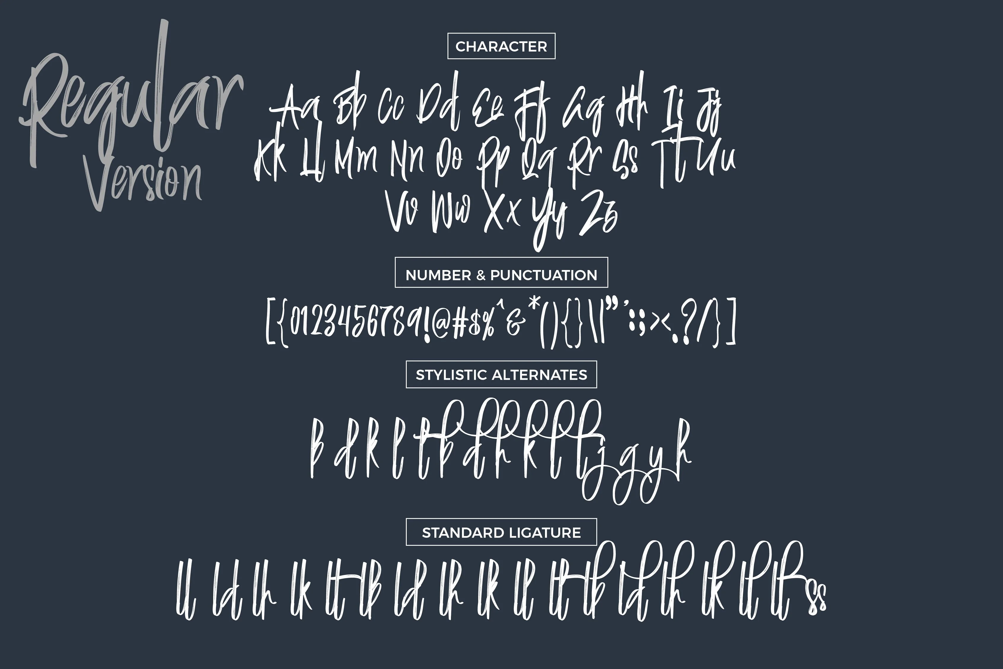 Justin Brush Font by Debut Studio — Script Handwritten Font — thumbnail 8