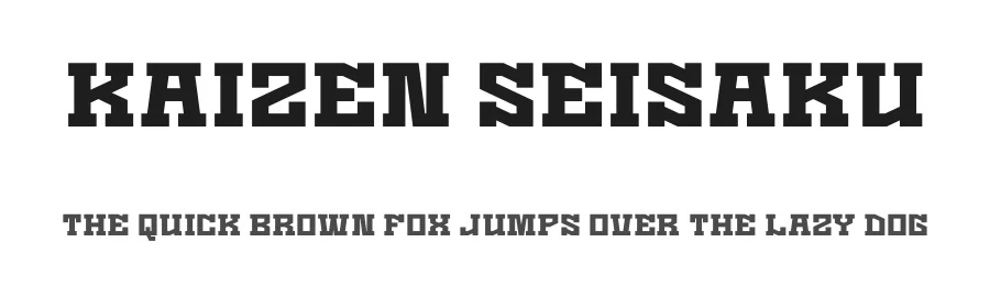 Kaizen Seisaku