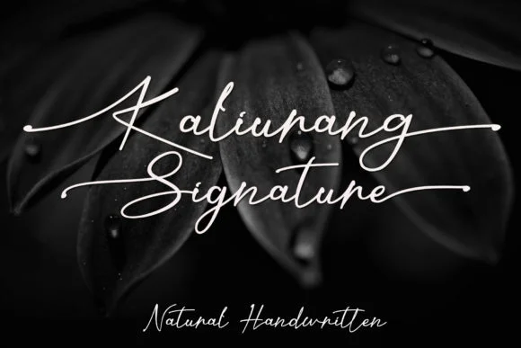 Kaliurang Signature Font by Letterafa Studio — Script Handwritten Font