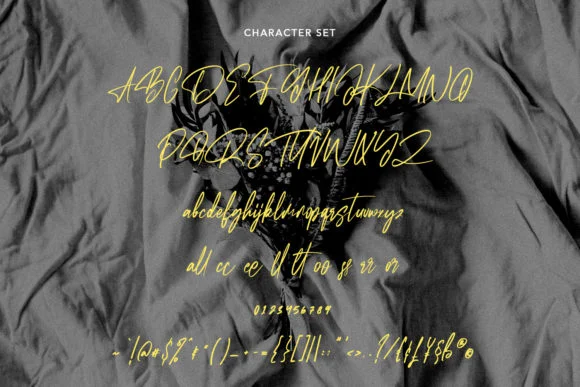 Kallis Ottis Font by Maulana Creative — Script Handwritten Font — thumbnail 8