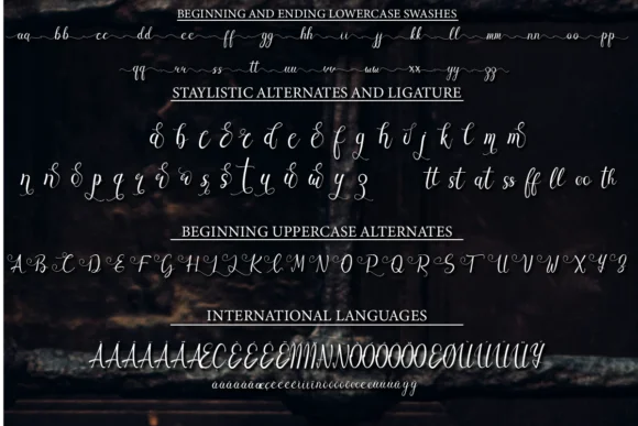 Kastury Font by Comactype Foundry — Script Handwritten Font — thumbnail 7