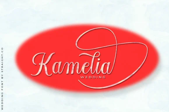 Kathia Script Font by STRAIGHT.CO — Script Handwritten Font — thumbnail 6