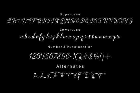 Kathyna Script Font by STRAIGHT.CO — Script Handwritten Font — thumbnail 6