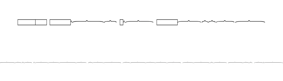 KG Math Bar Models by Kimberly Geswein — Dingbats Font