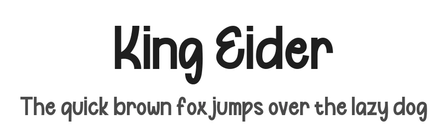 King Eider