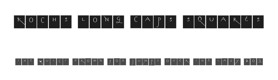 Kochs Long Caps Squares by Manfred Klein — Decorative Font