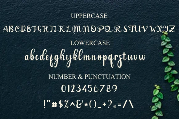 La Viola Font by Gatra Std — Script Handwritten Font — thumbnail 6