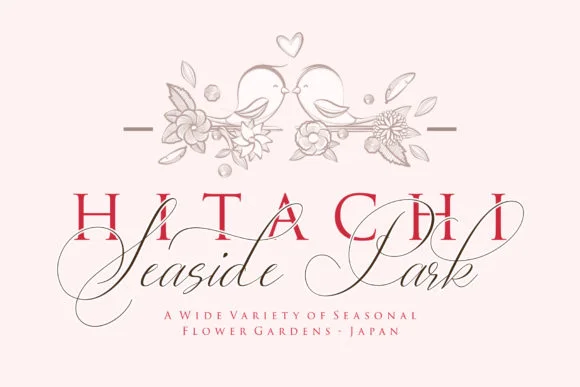 Lady Suettaya Font by Sulthan Studio — Script Handwritten Font — thumbnail 2