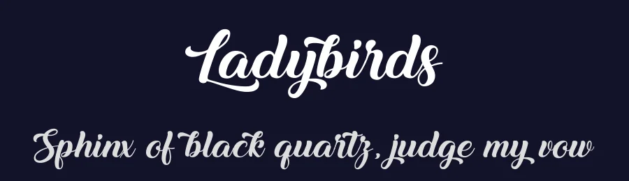 Ladybirds by Cat.B — Script Handwritten Font — thumbnail 2
