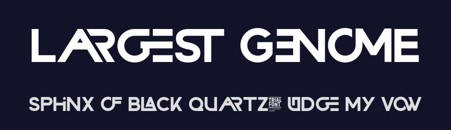 Largest Genome by 177Studio — Sans Serif Font — thumbnail 2