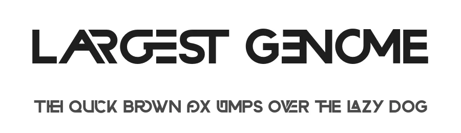 Largest Genome by 177Studio — Sans Serif Font