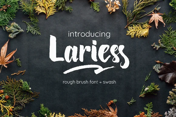 Lariess Font by Astageni — Script Handwritten Font