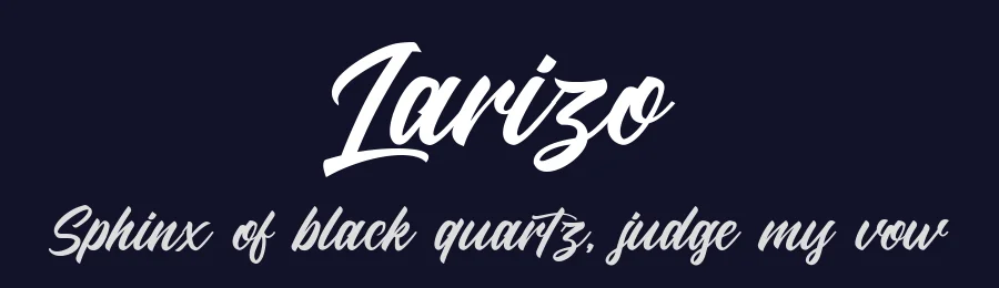 Larizo by Letterhend Studio — Script Handwritten Font — thumbnail 2