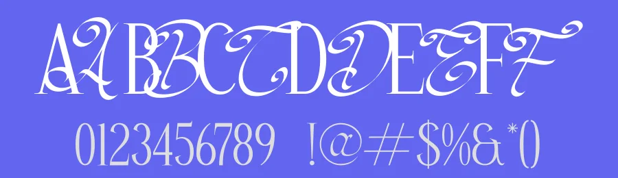 Las Hustle by Storytype Studio — Decorative Font — thumbnail 3