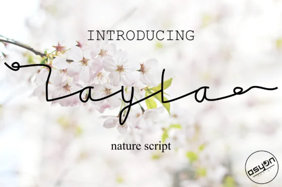 Layla Font by Ishmael Studio by Ishmael Studio — Script Handwritten Font