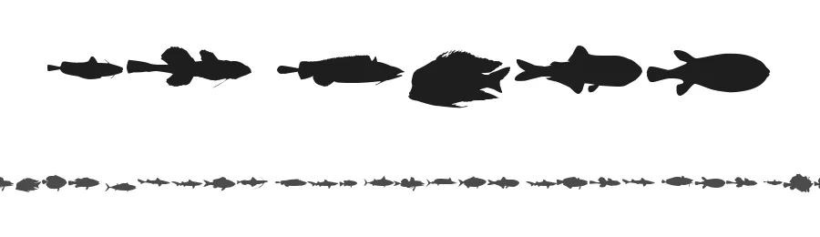 Le Fish by zanatlija — Dingbats Font