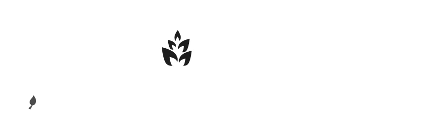 Leafs by Zia  Jamel — Dingbats Font