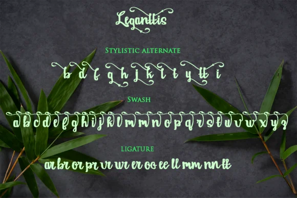 Leganttis Font by Gie Studio — Script Handwritten Font — thumbnail 8