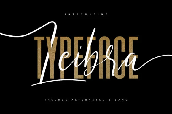 Leibra Font by Maulana Creative — Script Handwritten Font