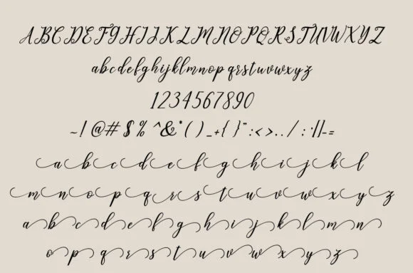 Leighton Font by Amarlettering — Script Handwritten Font — thumbnail 4