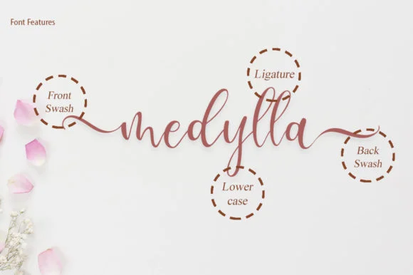 Lesley Script Font by fanastudio — Script Handwritten Font — thumbnail 9