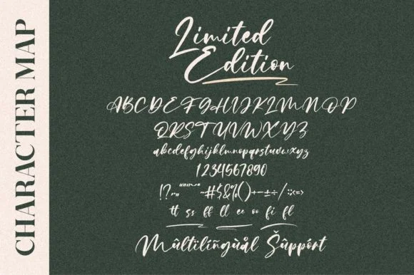 Limited Edition Font by Letterena Studios by Letterena Studios — Script Handwritten Font — thumbnail 2