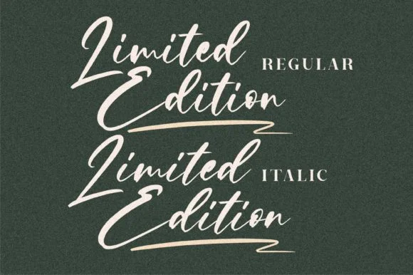 Limited Edition Font by Letterena Studios by Letterena Studios — Script Handwritten Font — thumbnail 3