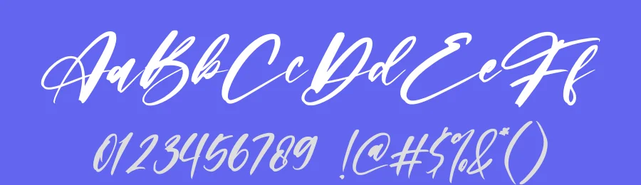 Limited Edition by Letterena Studios — Script Handwritten Font — thumbnail 3