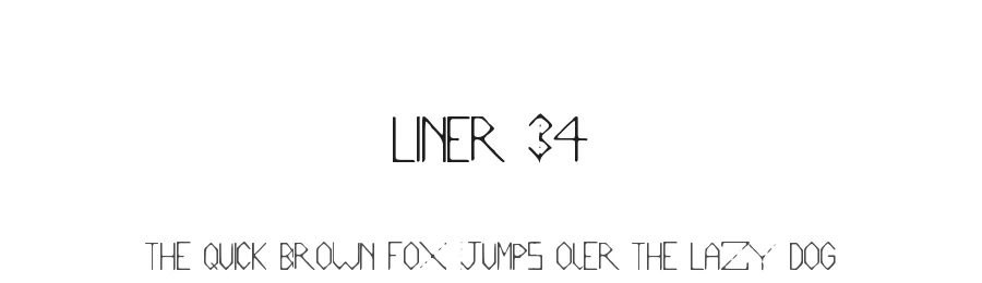 Liner 34