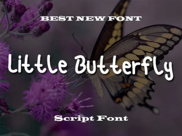 Little Butterfly Font by scriptstrategy β Script Handwritten Font