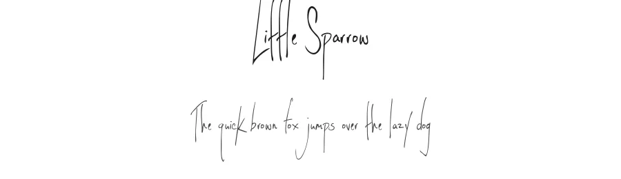 Little Sparrow