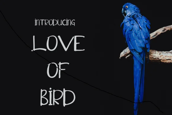 Love of Bird Font by Genara.studio — Script Handwritten Font