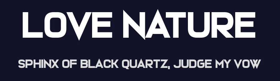Love Nature by Chequered Ink — Sans Serif Font — thumbnail 2