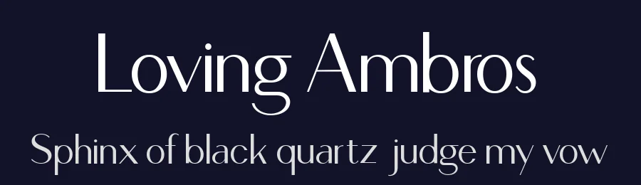 Loving Ambros by Say Studio — Sans Serif Font — thumbnail 2