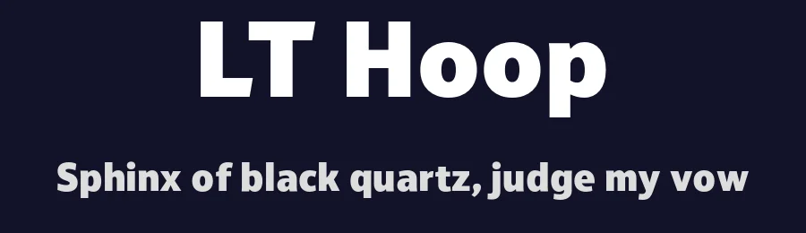 LT Hoop by LyonsType — Sans Serif Font — thumbnail 2