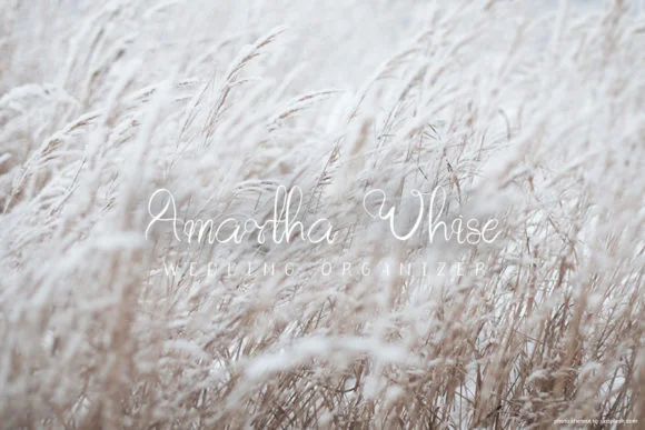 Lunar Wave Font by Creassion Studio — Script Handwritten Font — thumbnail 5