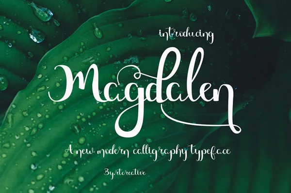 Magdalen Font by Rt Creative β Script Handwritten Font