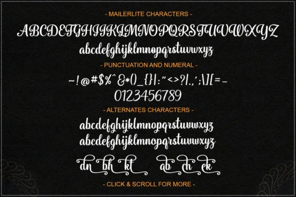 Mailerlite Font by Stellar Studio — Script Handwritten Font — thumbnail 5