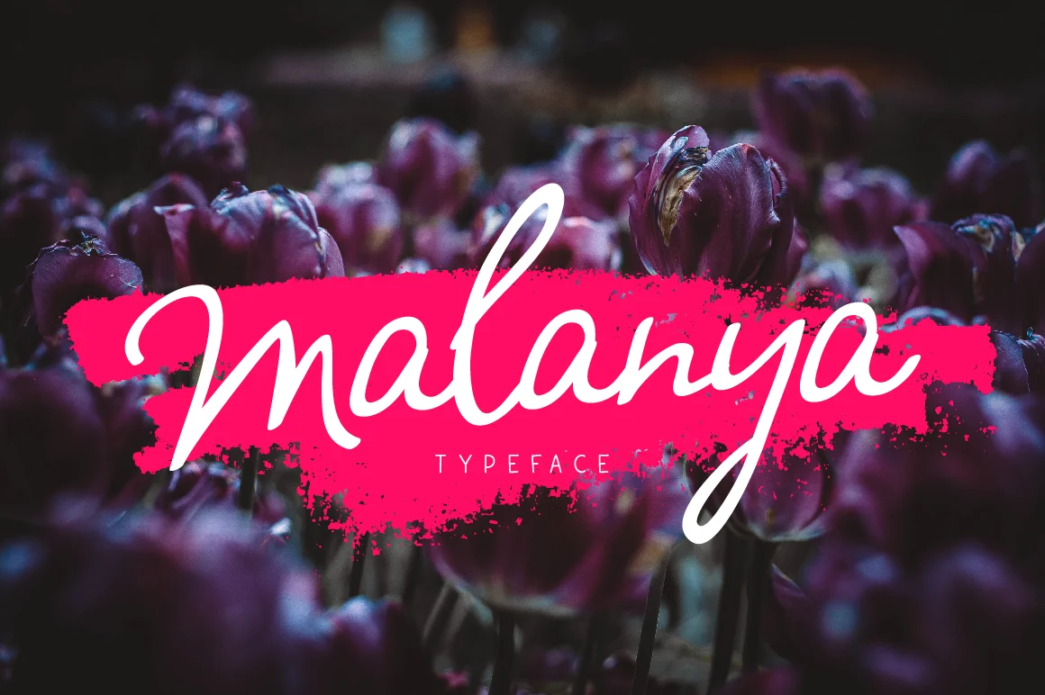 Malanya Font by ChekArt — Script Handwritten Font