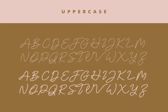 Maldonis Font by ovoz.graphics — Script Handwritten Font — thumbnail 8