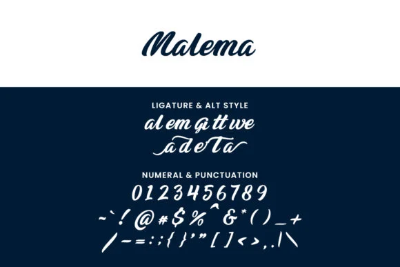 Malema Font by Maulana Creative — Script Handwritten Font — thumbnail 5