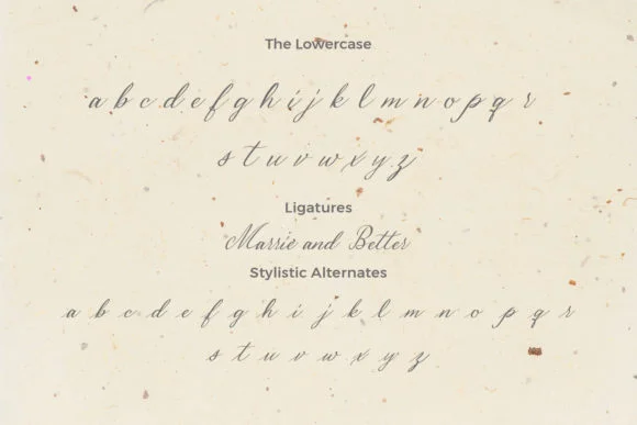 Malena Font by Nerdstudio — Script Handwritten Font — thumbnail 2