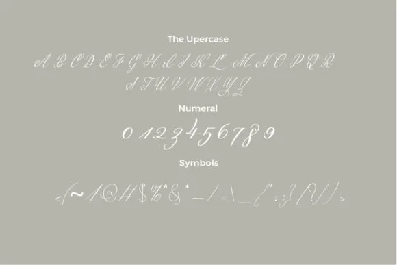 Malena Font by Nerdstudio — Script Handwritten Font — thumbnail 3