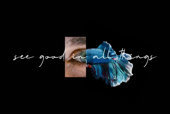 Mallory Quon Font by zuzulgo studio — Script Handwritten Font — thumbnail 2