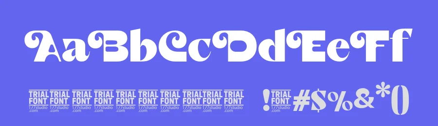 Manifest Creativity by 177Studio — Decorative Font — thumbnail 3