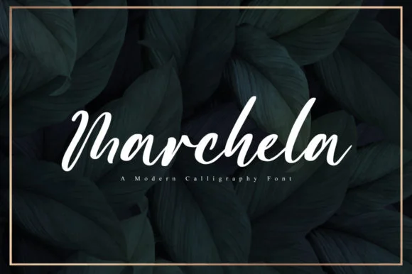 Marchela Font by FatmaStudio — Script Handwritten Font