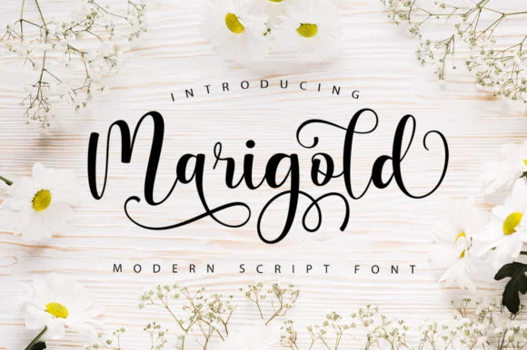 Marigold Font by Stellar Studio by Stellar Studio — Script Handwritten Font